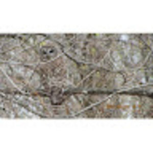 Meet your Posher, Garrett